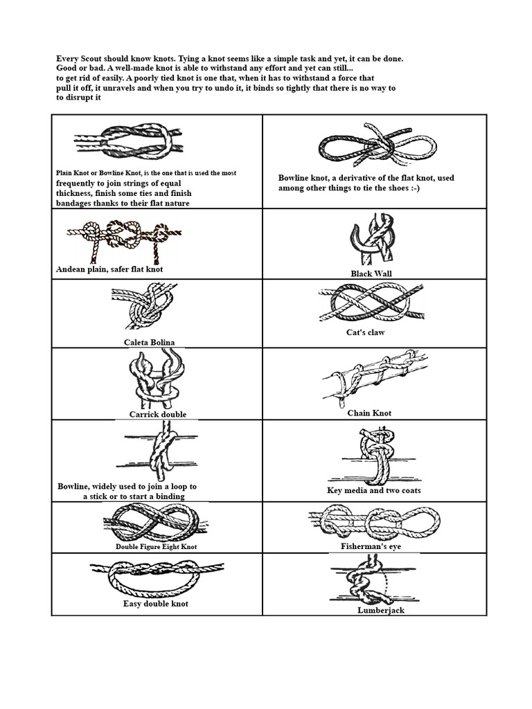 Every Scout Should Know Knots | PDF | Knot | Ropework