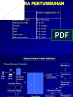 Kinetika Fermentasi Versi Warna