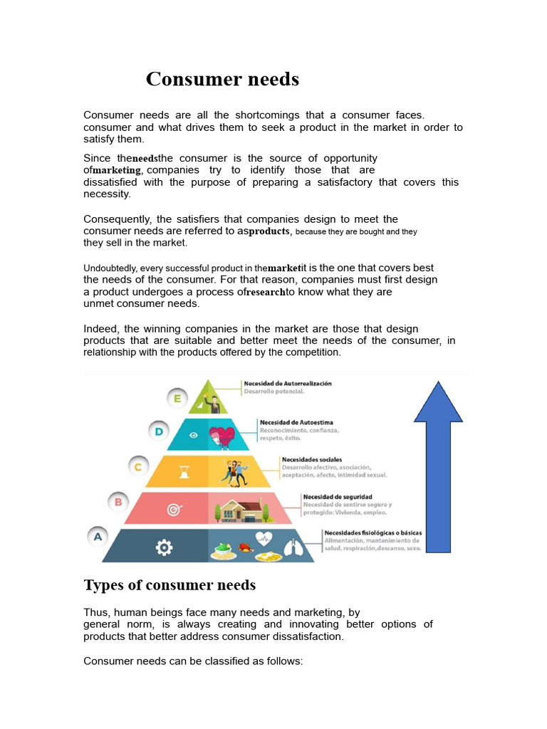 Consumer Needs | PDF