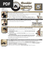 Scapular Stabilisation: Y-W-T Exercises | PDF