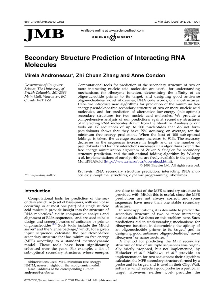 Secondary Structure Prediction of Interacting RNA Molecules | PDF ...