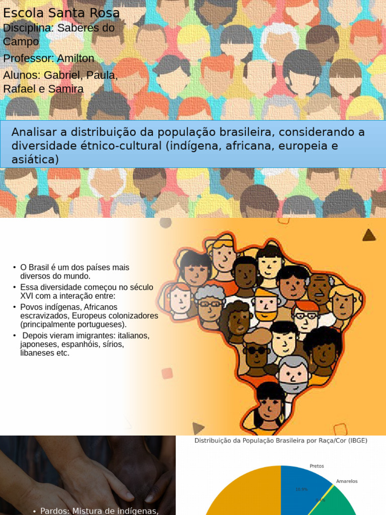 Diversidade Étnica da População Brasileira | PDF