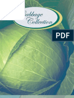 Cabbage Brochure