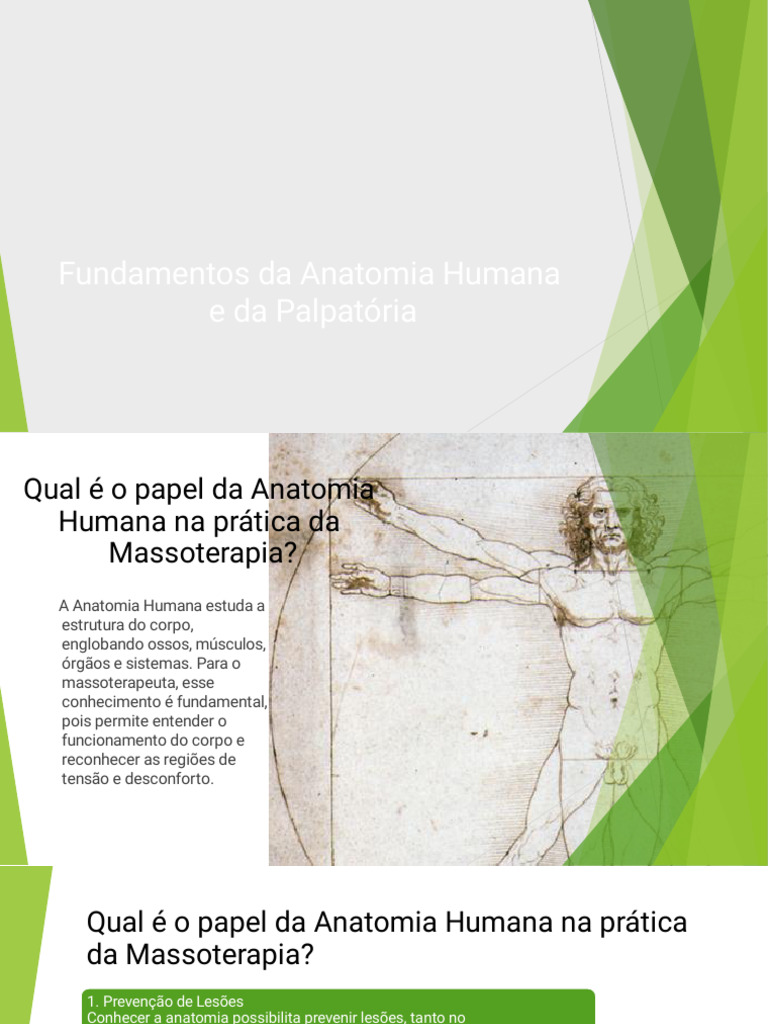 Anatomia Humana na Massoterapia | PDF | Corpo humano | Esqueleto