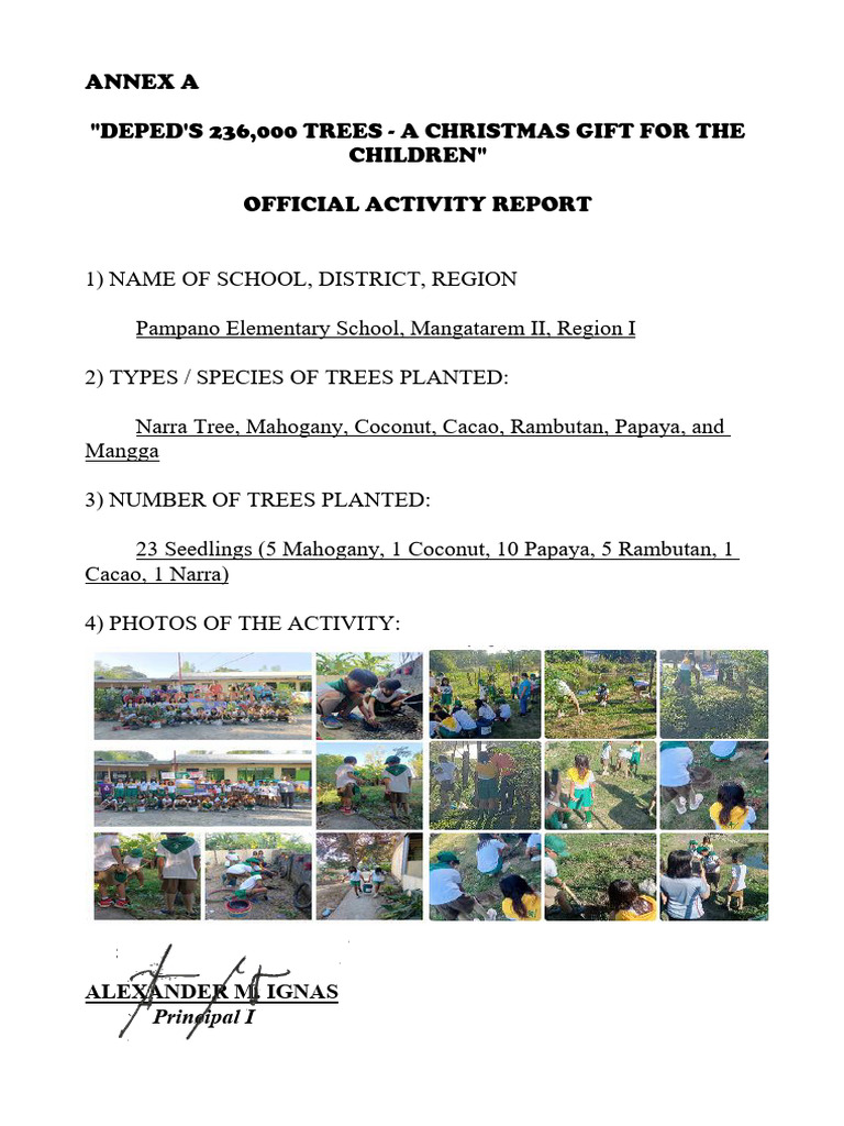 DEPED's Tree Planting Report 2023 | PDF