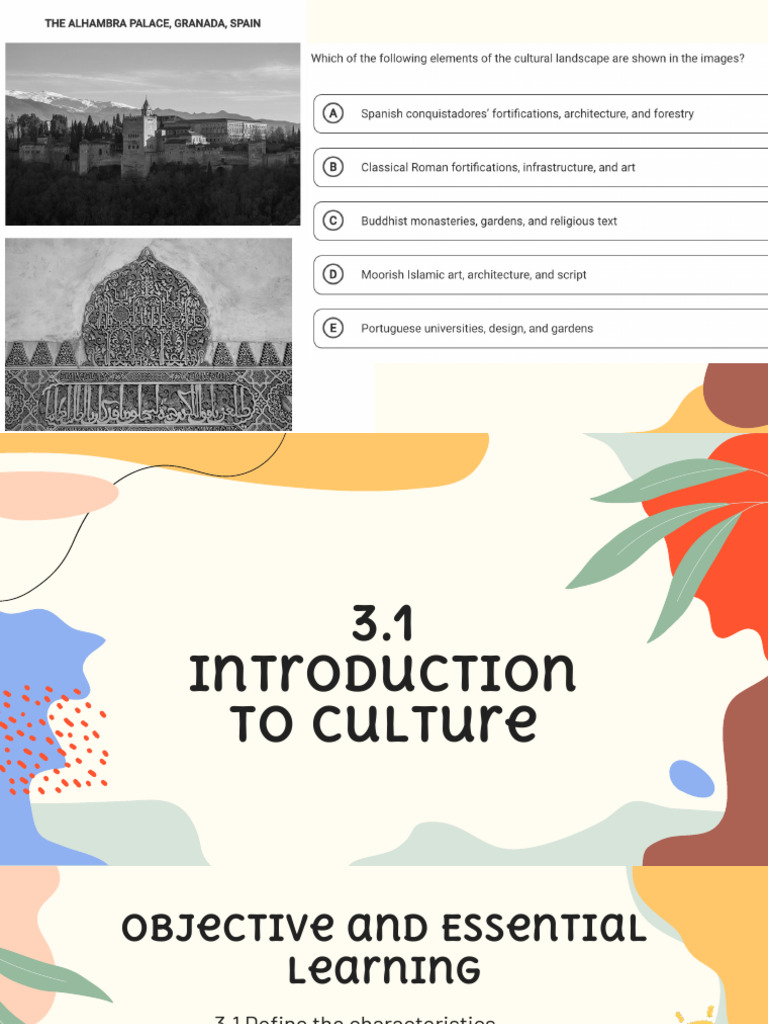 3.1 Introduction To Culture | PDF | Attitude (Psychology) | Society