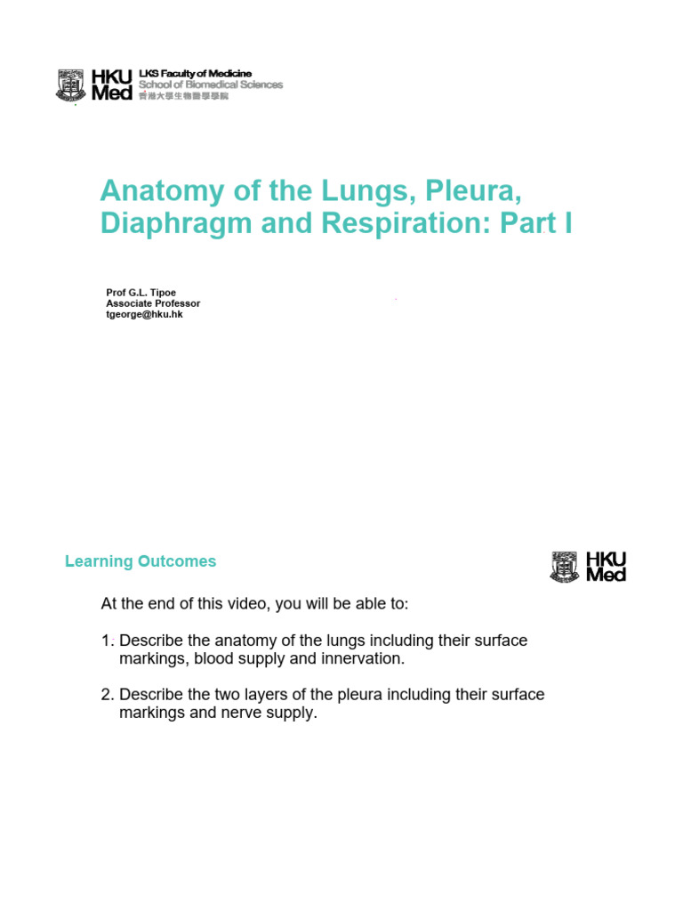 CPR03 Anatomy of The Lungs, Pleura, Diaphragm and Respiration | PDF ...