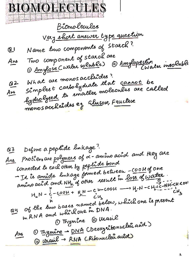 Biomolecules Important Questions | PDF