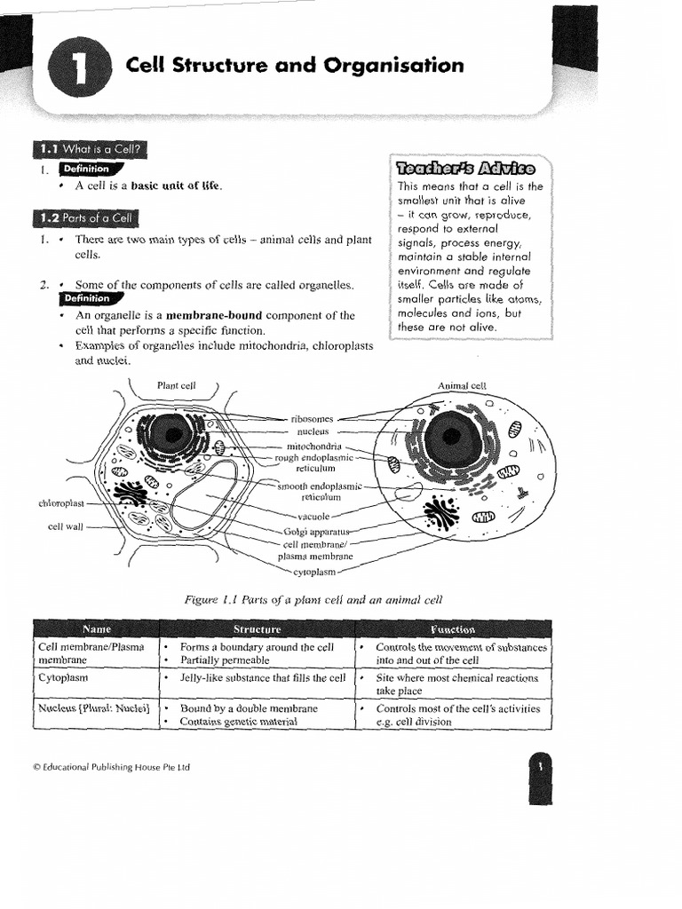 Bio Chapter 1-2 | PDF