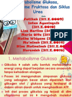Metabolisme Glukosa, Metabolisme Fruktosa Dan Siklus Urea