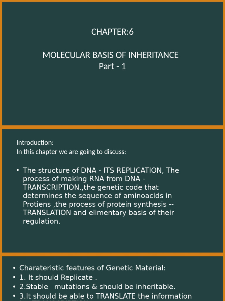 Ch6 Molecular Basis of Inheritance | PDF | Nucleic Acids | Dna