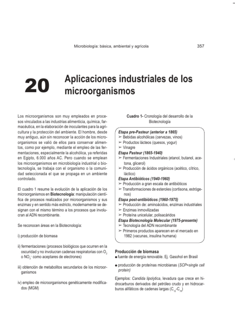 Unidad 05 I Aplicación de Los Microorganismos I Uso Industrial | PDF ...