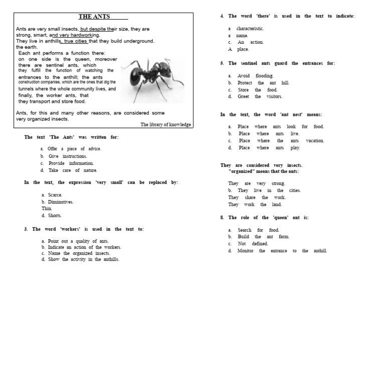 Understanding Ants: Roles and Structure | PDF | Ant | Hymenoptera