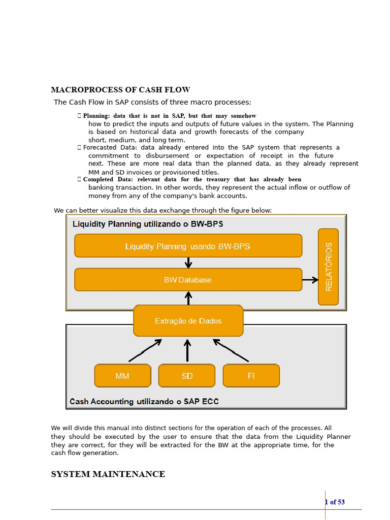 SAP Cash Flow Macroprocess Overview | PDF | Invoice