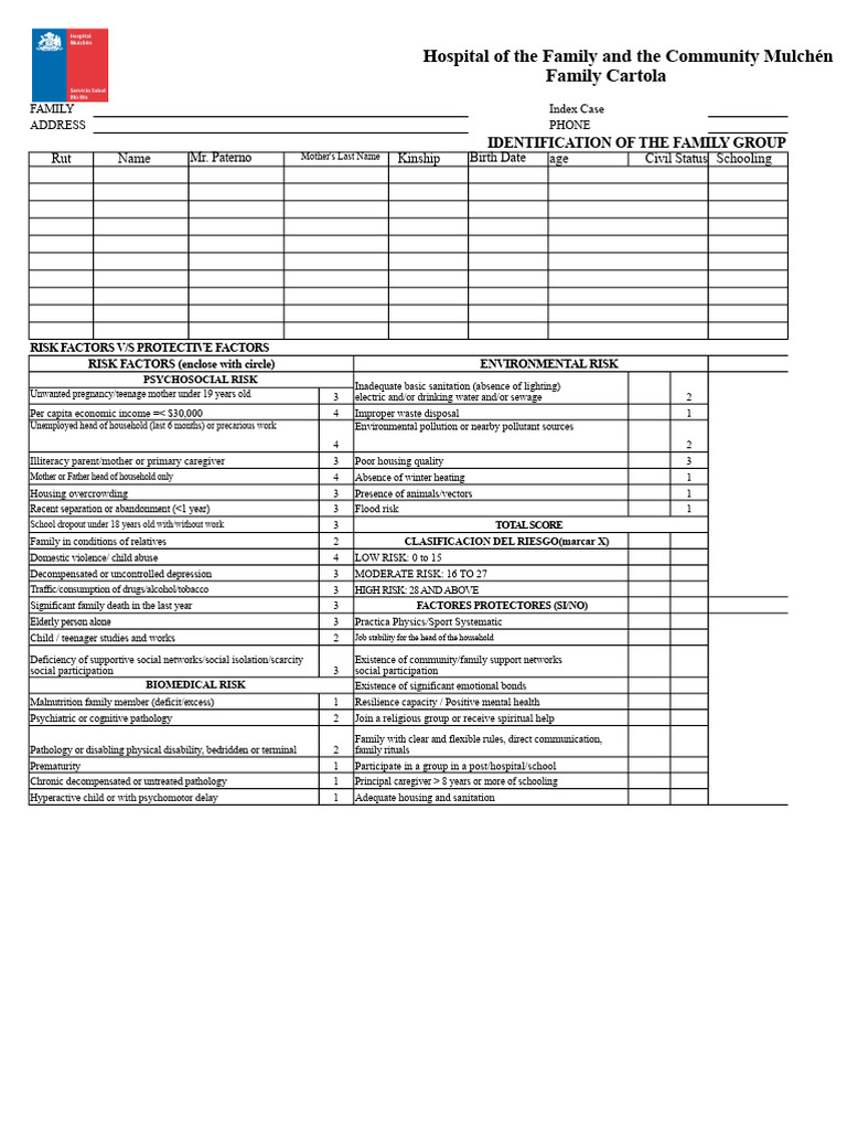 Family Risk Assessment Report Mulchén | PDF | Risk