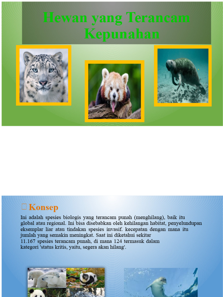 Spesies Terancam Punah di Peru | PDF