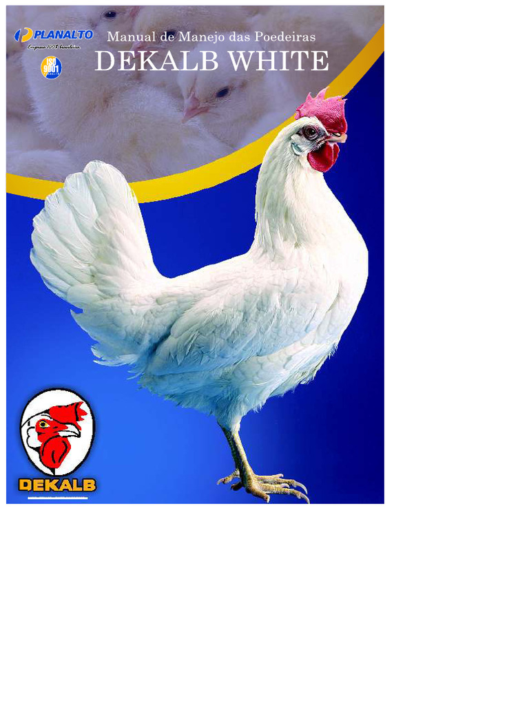 DEKALB White Layer Management Guide | PDF