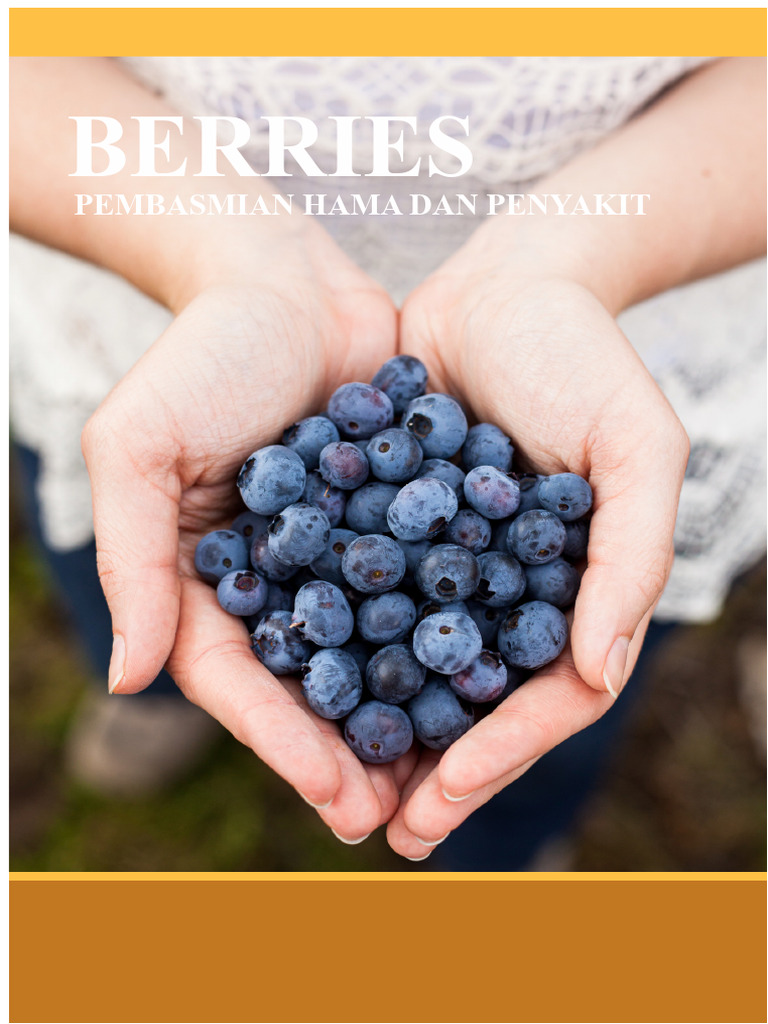 Pengendalian Hama dan Penyakit Blueberry | PDF