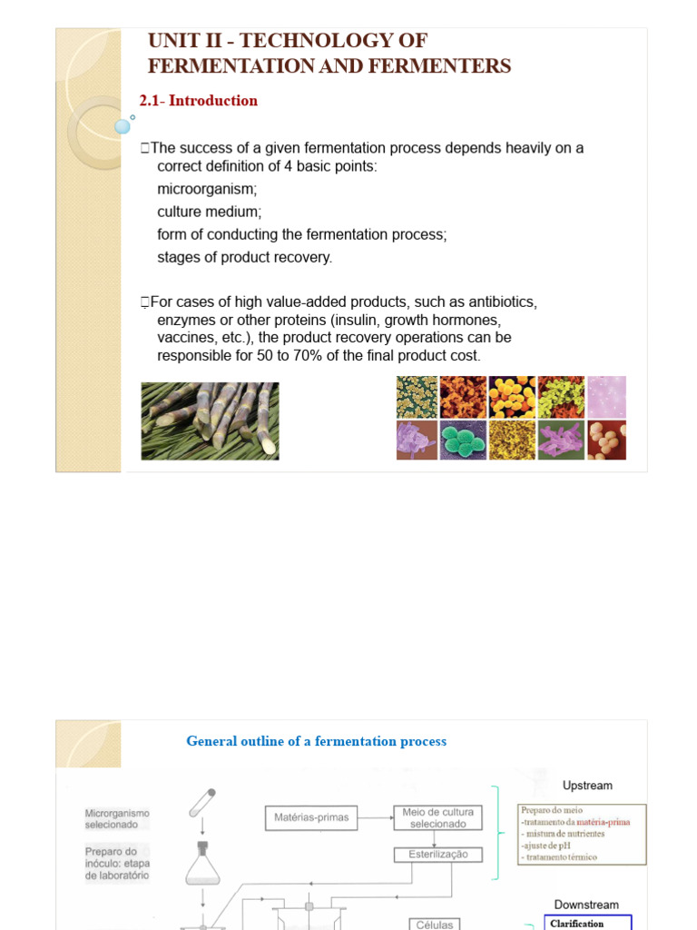 Fermentation Technology Overview | PDF | Microorganism | Nutrition