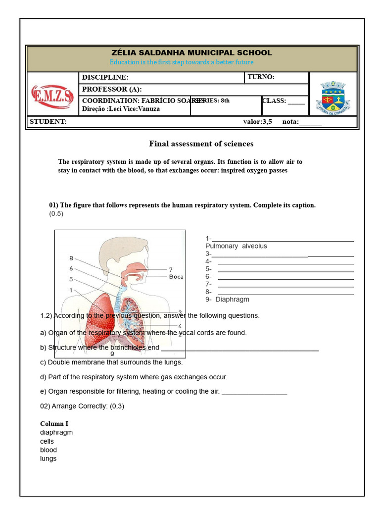 Final Assessment 8th Grade | PDF | Respiratory System | Breathing