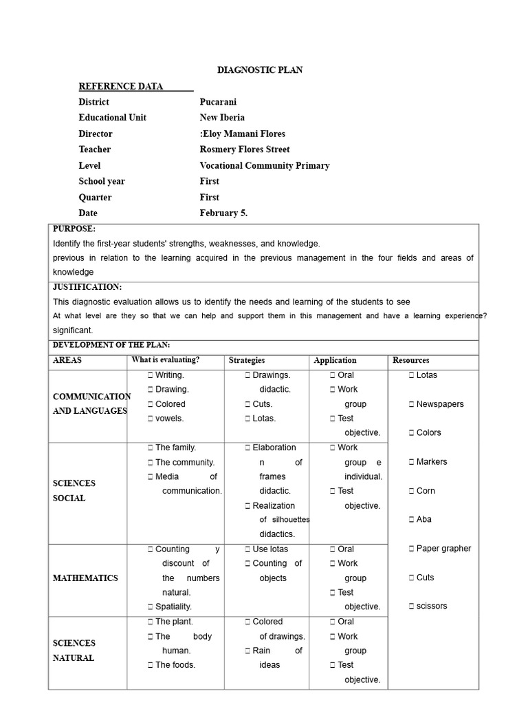 First-Year Student Diagnostic Plan | PDF | Cognition | Learning