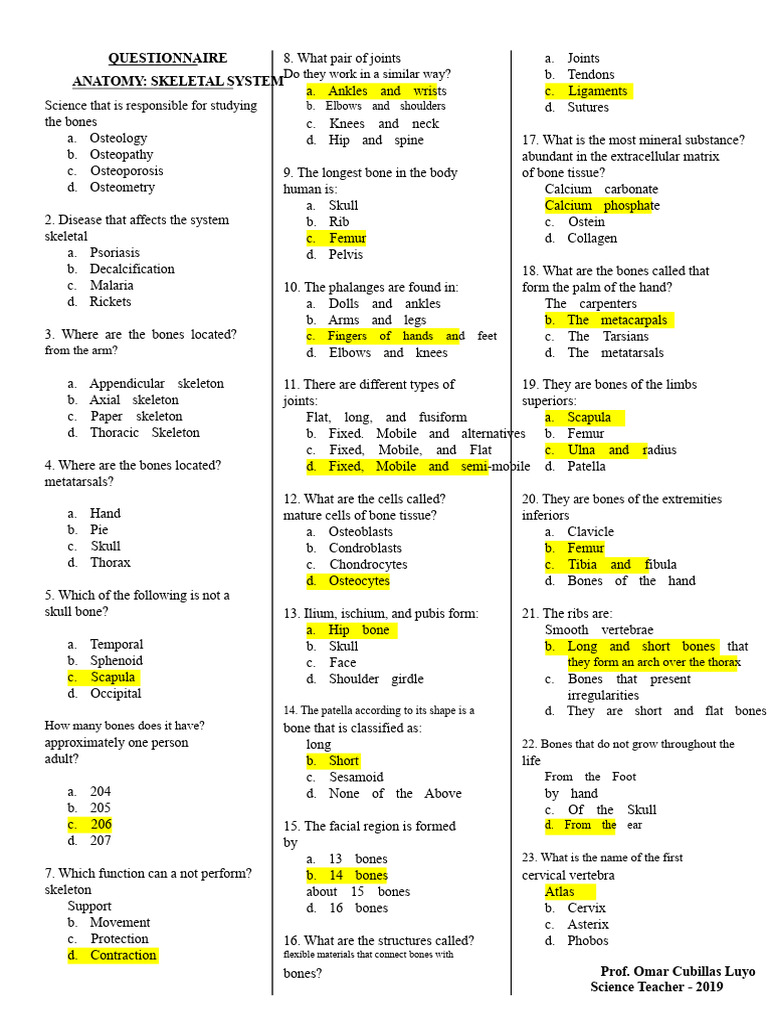Bone System Questionnaire | PDF | Bone | Skeleton
