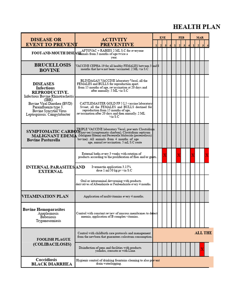 Health Plan | PDF | Vaccines | Diseases And Disorders