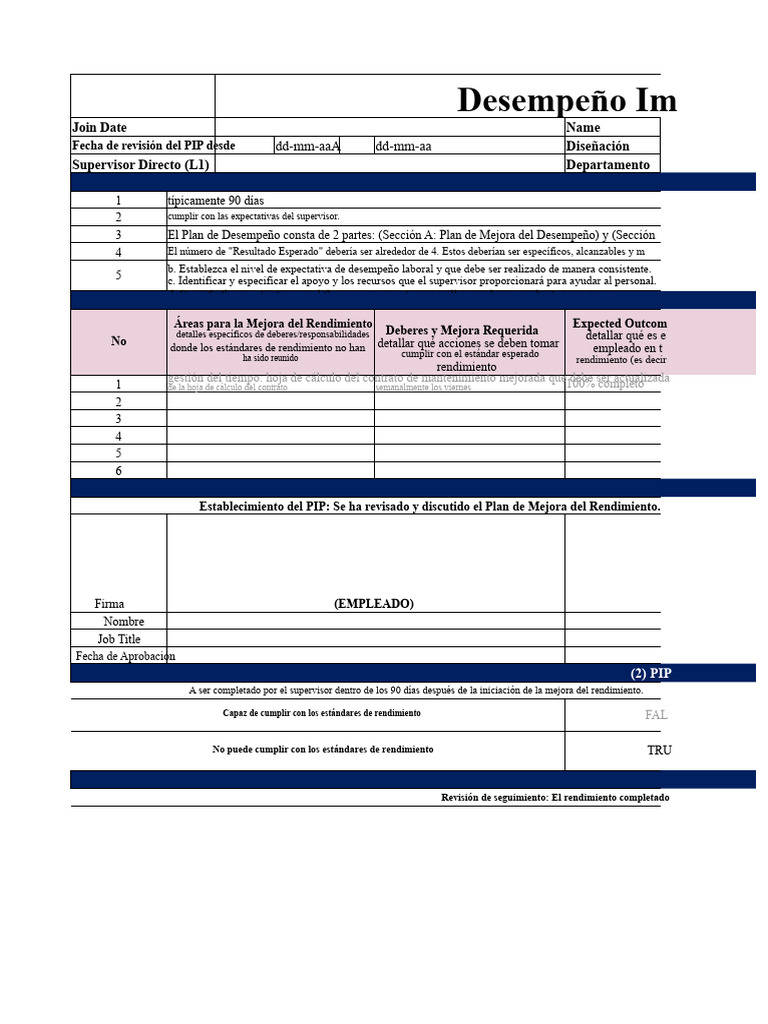 Plantilla de Formulario PIP | PDF