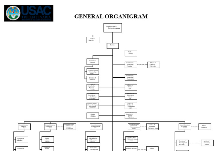 University Organizational Structure Overview | PDF | Business