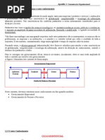 Apostila Topicos Emergentes Em Administracao