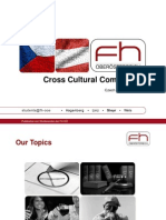 Czech-Austria Cross-Cultural Comparison: Politics, Laws, Society & Philosophy