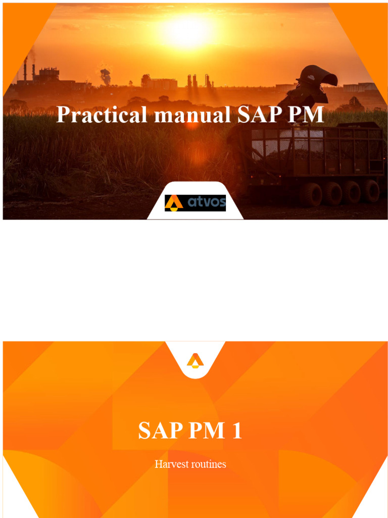 SAP PM Practical Manual Guide | PDF | Computing