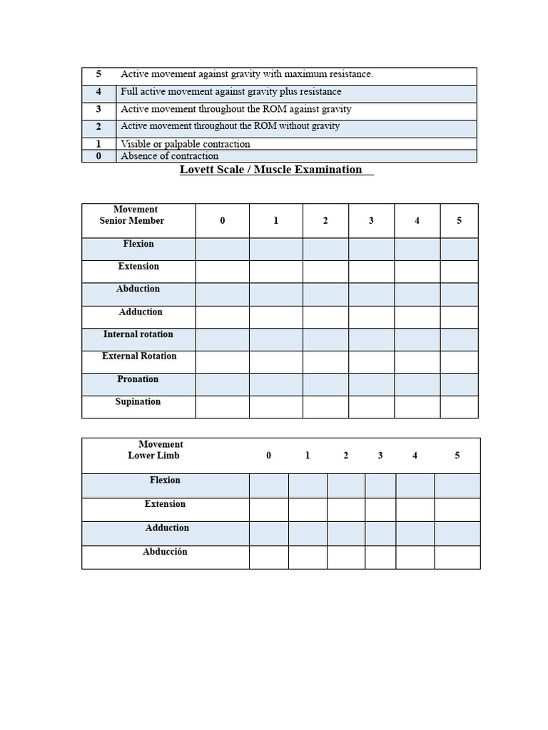 Lovett Scale for Muscle Examination | PDF