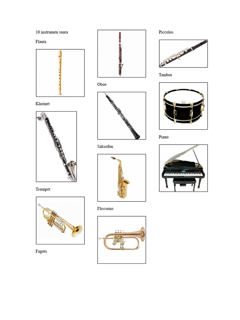 10 Instrumen Musik Terpopuler | PDF