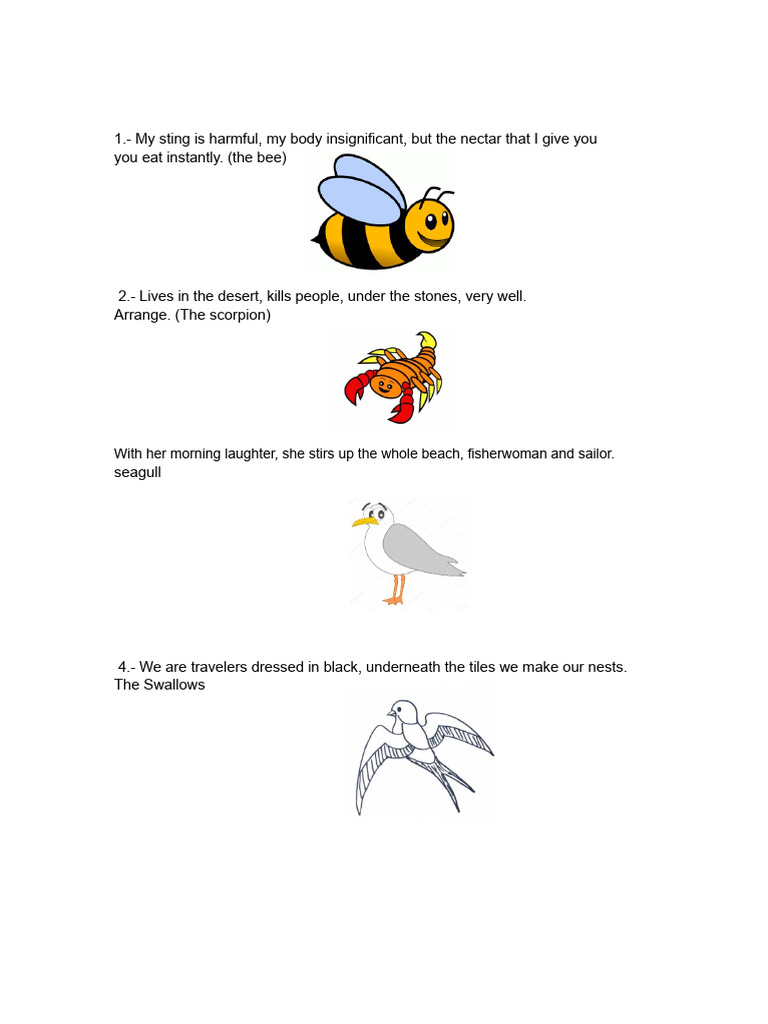 Riddles and Descriptions of Nature | PDF