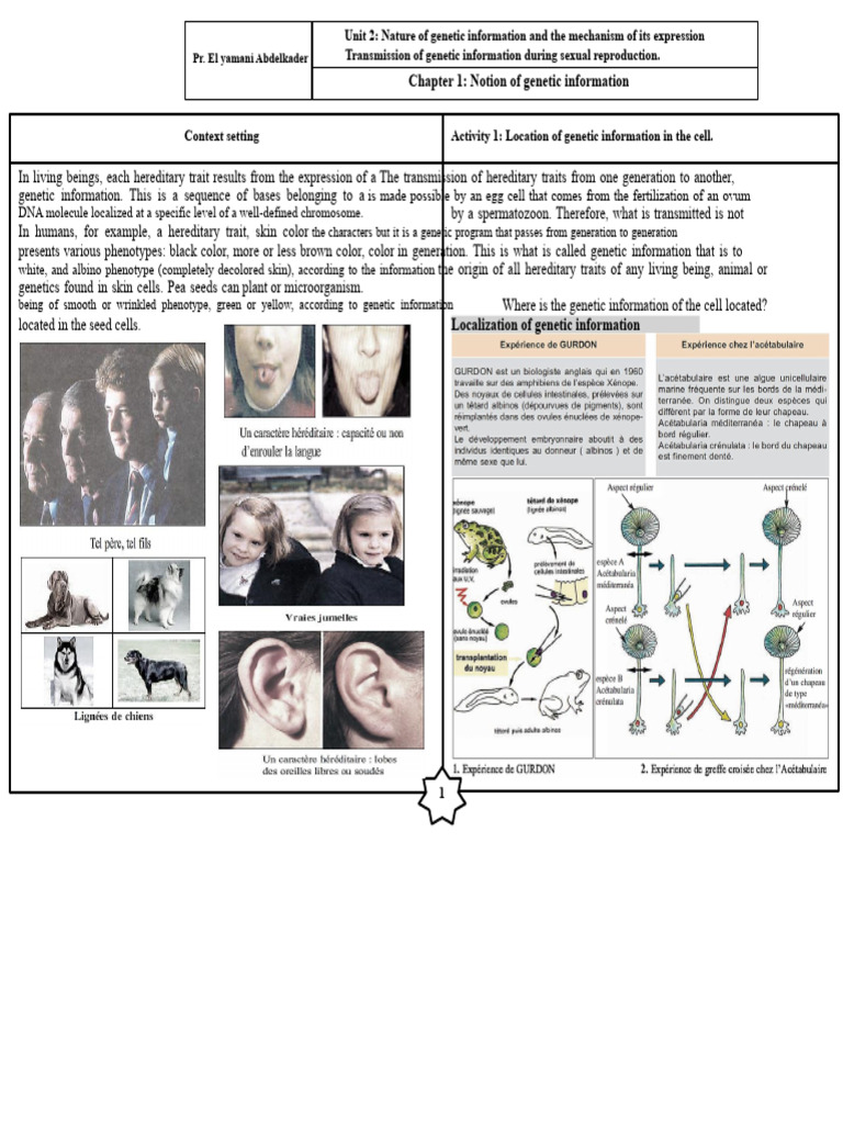 Genetic Information and Its Expression | PDF | Dna | Dna Replication