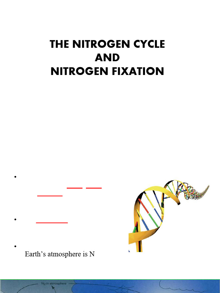 Kuliah 04-05. Fiksasi Nitrogen | PDF | Nitrogen