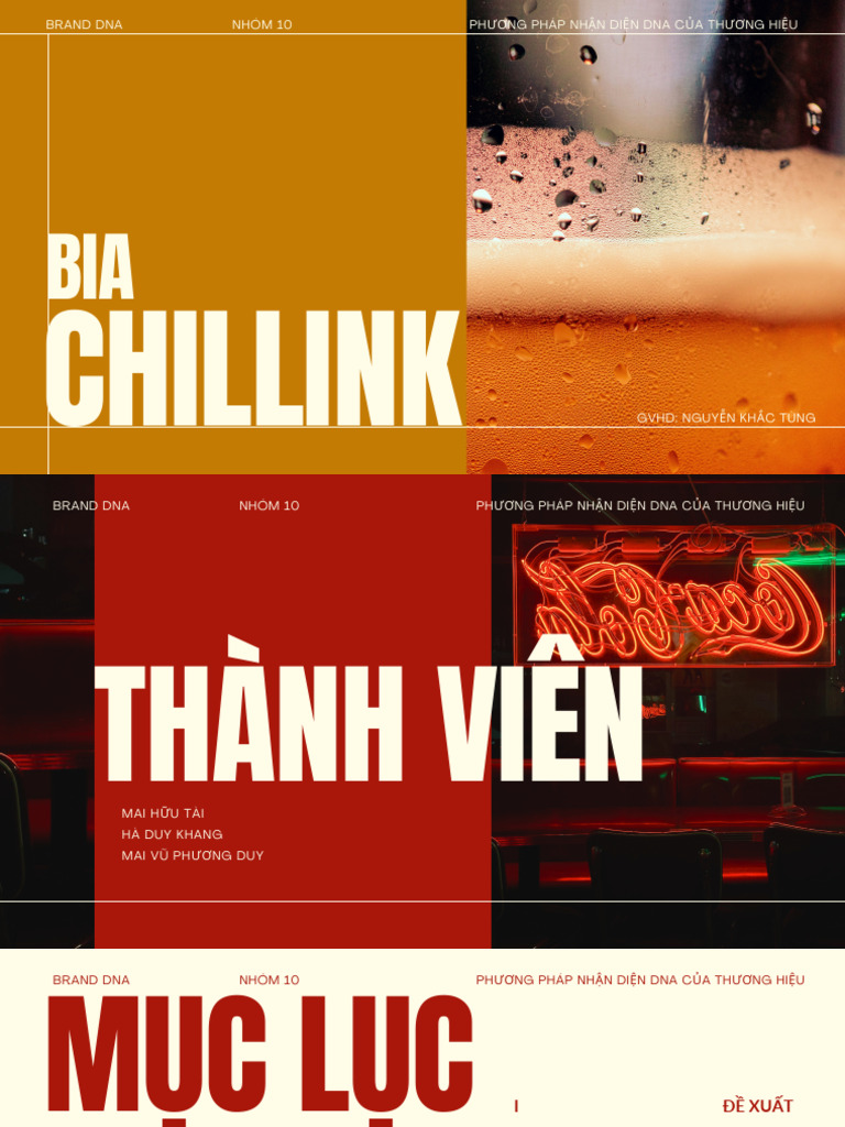 DNA Nhóm 10 Bia Chillink | PDF