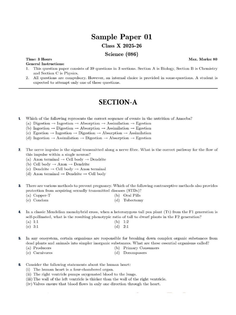 Science Sample Paper | PDF
