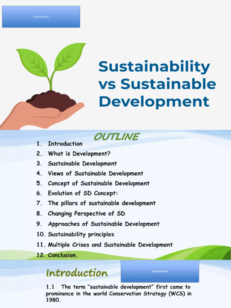 Sustainable Development | PDF