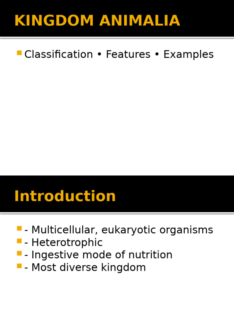 Kingdom Animalia: Classification & Features | PDF
