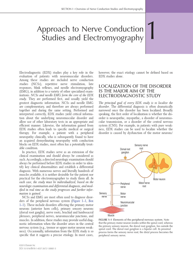 01approach To Nerve Conduction Studies and Electromyography | PDF ...
