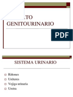 Aparato Genitourinario