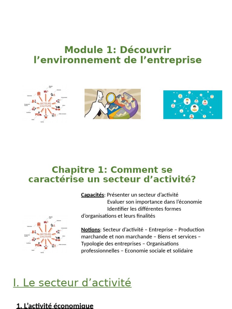 Comprendre les secteurs d'activité économique | PDF | Économie | Business