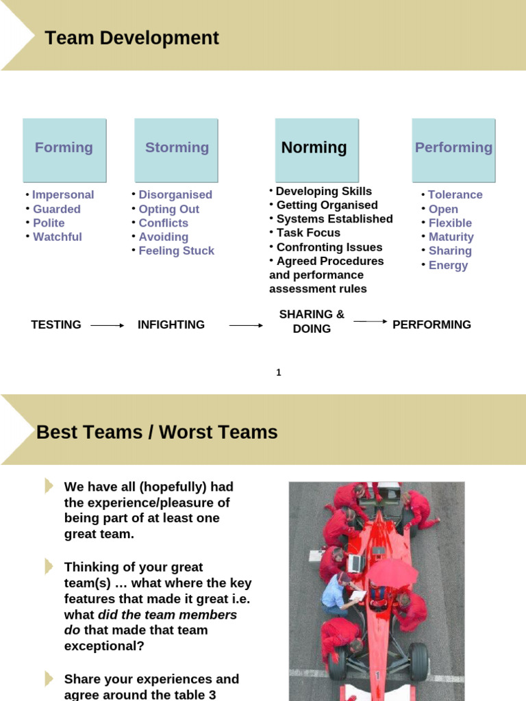 Team Development Stages and Success Factors | PDF | Social Psychology