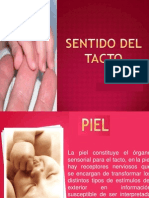 El tacto y los receptores sensoriales de la piel