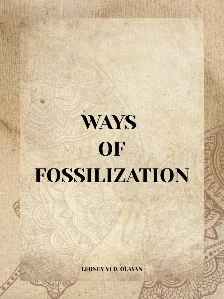 Fossilization Methods Explained | PDF