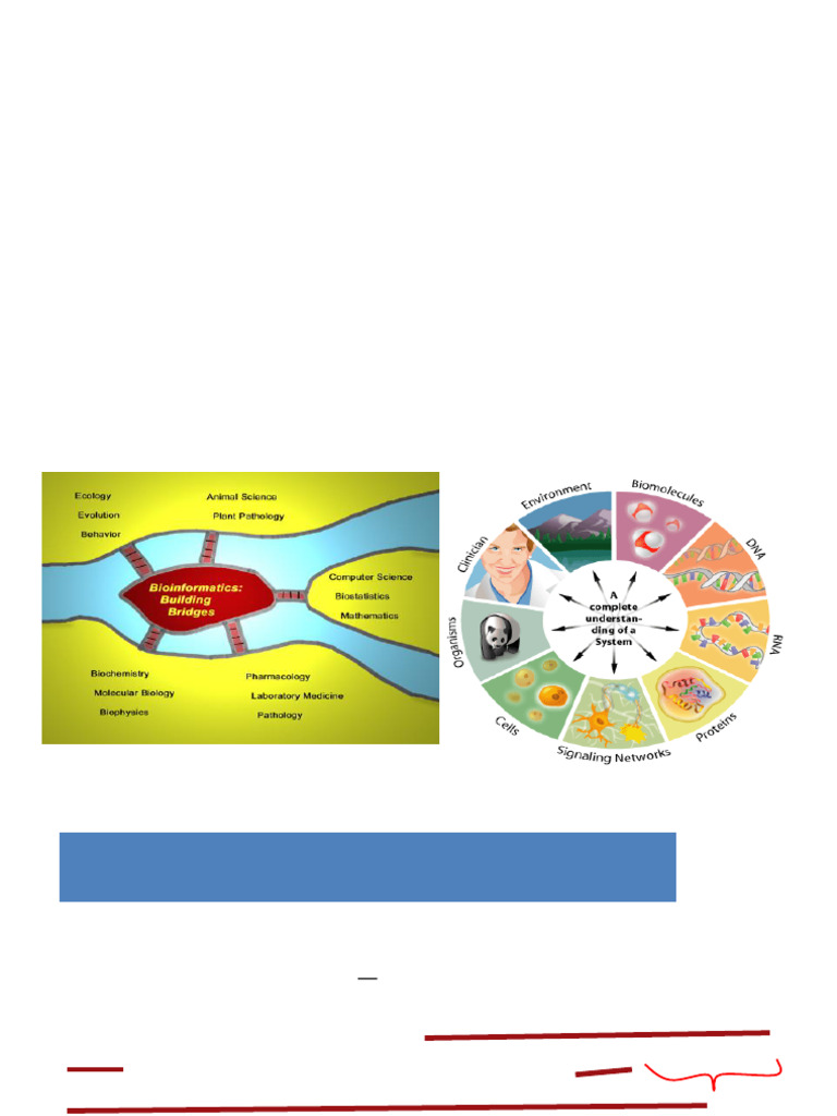 L2S2 Bioinformatics and Omics | PDF | Metabolomics | Bioinformatics