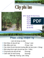 Copy of CA the Phi Lao