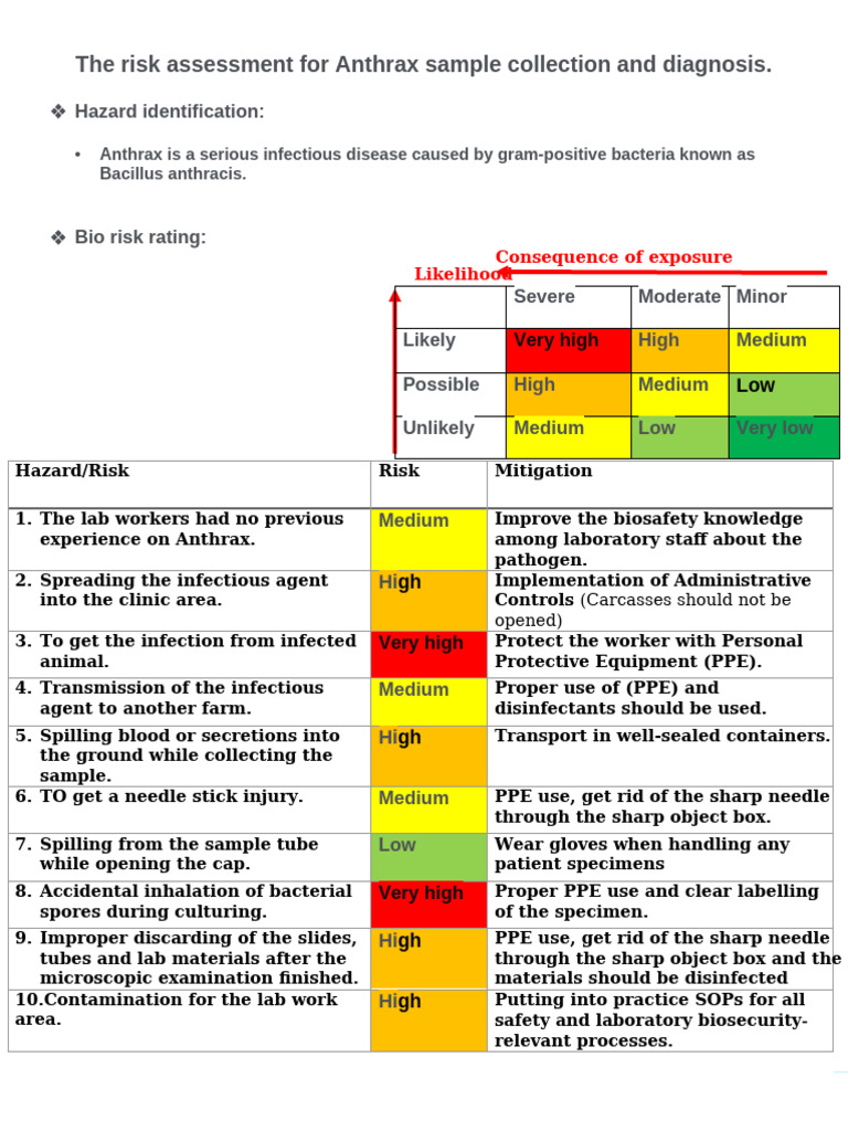 Risk Assessment Alaa | PDF | Anthrax | Infection